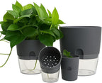 Self Watering Planter Pot with Upgraded Wick System – Modern Indoor Plant Pot with Visible Water Reservoir