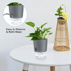 ShineMe Self Watering Flower Pots, 4.1 Inch Self Watering Planters for Indoor Plants, 6 Pack Plastic Plant Pots for African Violets, Herbs, Aloe, Peace Lily with Absorbent Cotton Rope (Gray)