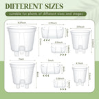 Self Watering Pots for Indoor Plants with Deep Reservoir and High Drainage Holes for Outdoor Plants and Flowers, Bare Root Planter(4.72''/5.91''/7.09''/8.27'',Clear,4 Pcs)