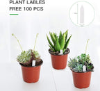 JERIA 100-Pack 6 Inch Plastic Nursery Pots Come with 100 Pcs Labels, Seedling Flower Plant Container and Seed Starting Pots