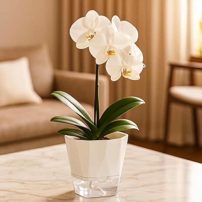 6 Pack Self Watering Pots for Indoor Plants, 8.4 Inches Self Watering Planters Large African Violet Self Watering Clear Pots for Plants Large Herb Orchid Flower Houseplant Pots, White