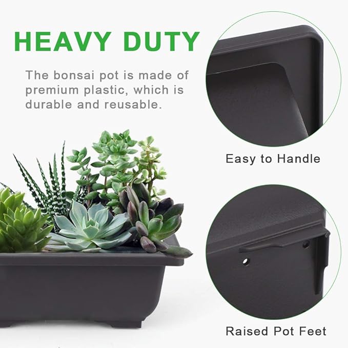 Bonsai Training Pots, 6-Pack, 6.5 Inch Black Plastic with Drainage