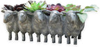 Newman House Studio Resin Sheep Planter Succulent Pot - Creative Animal Garden Pots for Home Garden Office Desktop Decoration 13 * 7.2 * 5.5 Inch