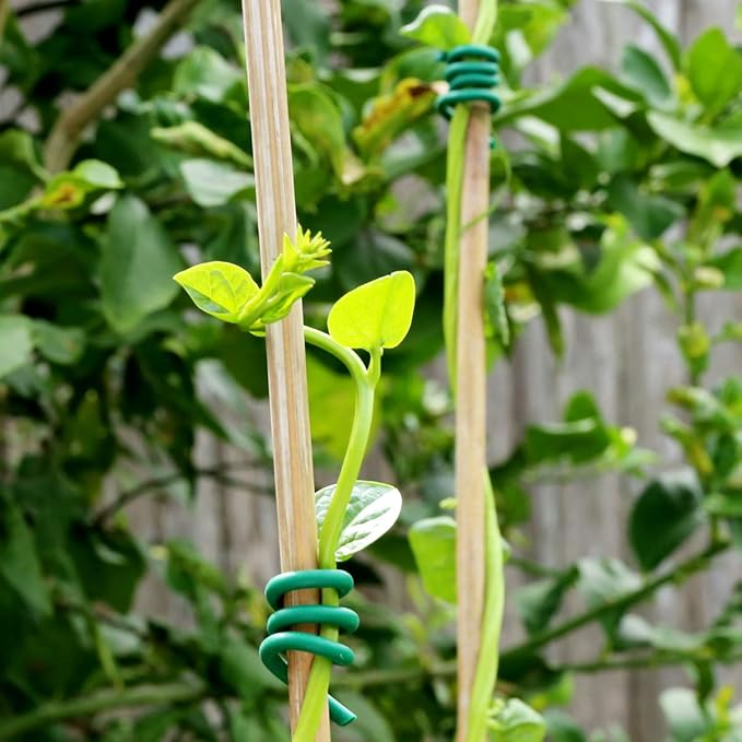 Decoroca Garden Flexible Tie, Soft Twist Plant Ties 32.8' - Green Support Plant Wire, Durable Heavy Duty Vines, Stems & Stalks