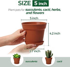 T4U 5 Inch Plant Pot 8-Pack, Plastic Pots with Drainage Hole and Saucer, Decorative Flower Pots Bulk for African Violet, Snake Plant, Succulent and All House Plants Indoor (8pcs 5" Pots)