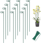 Joyhalo 12 Pack Plant Support Stakes 24 Inch, Plant Stakes, Flower Stakes with 24 Twist Ties, Garden Sticks for Plants Iris, Dahlia, Gladiolus, Amaryllis, Rose, Sunflower, Tomato, Sapling Etc