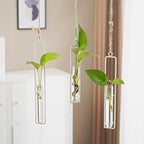 3 Pieces Hanging Plant Glass Test Tubes Hydroponic Vase Planters Wall-Mounted Terrarium Container for Indoor Outdoor Home Decoration (White)