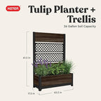 Keter Outdoor Planter Box with Privacy Screen and Trellis – 26 Gallon Raised Garden Bed for Climbing Plants & Flowers – Wood-Look Resin, Weather-Resistant Divider for Patio, Balcony & Backyard