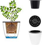 5.2“ Self Watering Planter White Flower Pot, 3 Pcs Medium Planter Pot, Mini Plant Pot, for All Plants, Herbs, African Violets, Succulents, Flowers Or Start Plants, White, 5 inch
