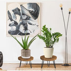 Plant Stand Indoor Outdoor, Wooden plant Stool, Mid Century Plant Stand for Indoor Plants, Wood Modern Plant Holder Rattan Flower, Low Short Boho Rustic Planter Stand Fit 5-15 Inch Pot(M)