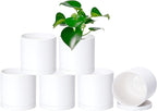 Planters Set of 6 Matte White Plastic Plant Pots with Saucers, 5 Inch