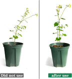 12 Pack Plant Stakes,Plant Support Stakes for Two Sizes(16 or 32 Inches),Plant Stakes for Outdoor Plants,Garden Flower,Tomato(Green)