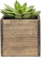 CYS EXCEL Cube Planter Box with Removable Plastic Liner (4"x4"x4")(4 PCS) | Multiple Size Choices Wood Square Planter | Indoor Decorative Window Box
