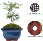 Planters: 6-Pack Blue Glazed Ceramic Mini Bonsai Pots with Drainage Holes