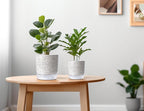Self Watering Pots for Indoor Plants, 5 & 4 Inch Stylish Flower Pots, Set of 4 Modern Planters with Self Watering Plant Feature (Crack Texture)