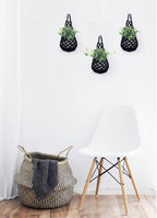 3 Packs Hanging Planters for Indoor Plants up to 4 in., Wall Plant Holder | Plant Hanger Indoor, Wall Planters for Indoor Plants, Hanging Plant (3PK, for 4 inch Pot)