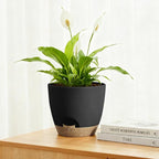 Plant Pots 8/7.5/7/6.5/6 Inch Self Watering Pots,5 Pack Planters with Drainage Holes and Saucers,Plastic Flower Pots,Nursery Planters for Indoor Outdoor Plants (Black)