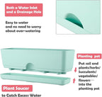 6 Pack Rectangle Planter 16x4.4 Inch Window Boxes Planters Rectangular Large Window Sill Planters Indoor Self Watering Plant Pots with Drainage Holes and Saucers Succulent Herb Flower Pots, Blue