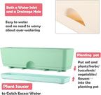6 Pack Rectangle Planter 16 Inch Window Boxes Planters Rectangular Large Window Sill Planters Indoor Self Watering Plant Pots with Drainage Holes and Saucers Succulent Herb Flower Pots, Macaron Color