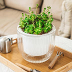 Melphoe 1 Pack Self Watering Hanging Planters Indoor Flower Pots, 8.3 Inch Outdoor Hanging Plant Pot Basket, Plant Hanger with 3Hooks Drainage Holes for Garden Home