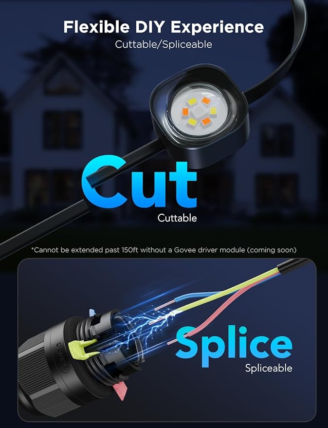 Govee Permanent Outdoor Lights Pro, 100ft with 60 RGBIC LED Lights for Daily and Accent Lighting, 75 Scene Modes for Outdoor Decor, IP67 Waterproof, Works with Alexa, Google Assistant, Matter, Black