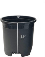 2 Gallon 10-Pack Nursery Pot Black Plastic Planters for Outdoor Indoor Plants Gardening Flower Pots Plant Pots with Drainage Holes