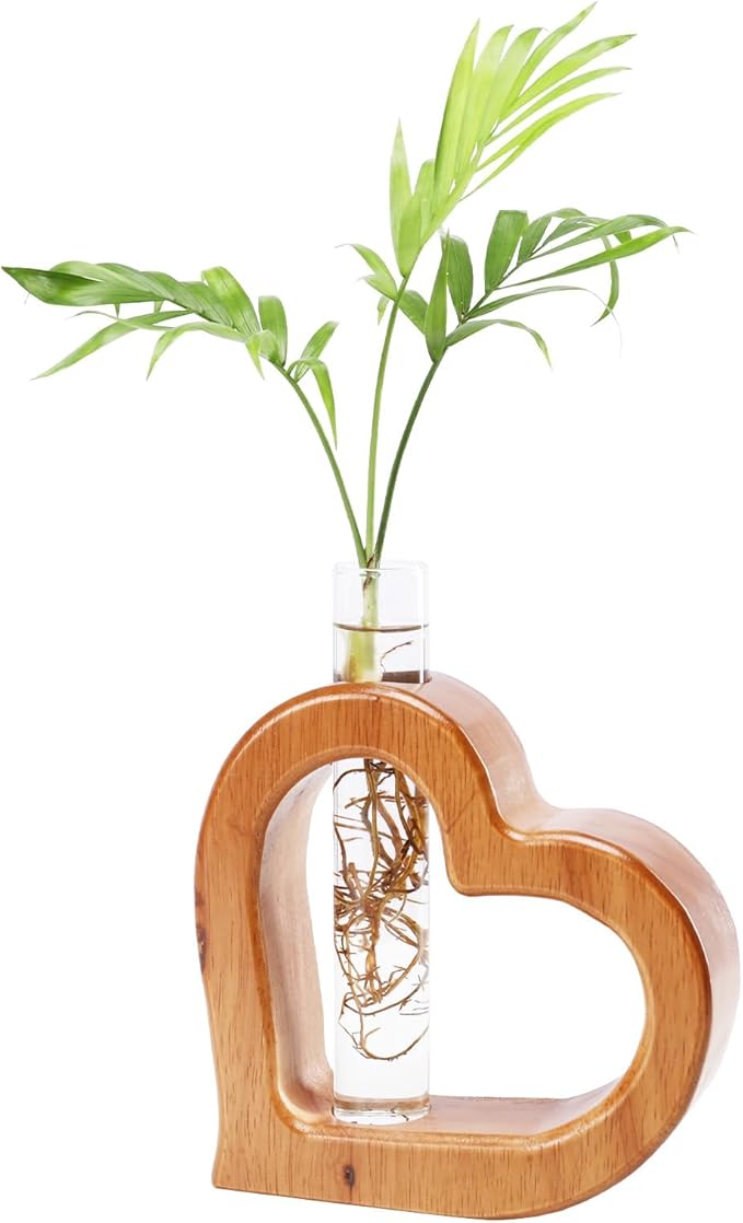 Terrarium Wall Planter with Glass Test Tube, Heart Shaped Pine Wood Stand