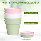5 Inch Plastic Plant Pots with Drainage Holes and Trays – 6 Pack Small Nursery Pots for Indoor & Outdoor House Plants and Flowers, Seedling Starter Planters, Colorful