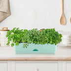 6 Pack Rectangle Planter 16x4.4 Inch Window Boxes Planters Rectangular Large Window Sill Planters Indoor Self Watering Plant Pots with Drainage Holes and Saucers Succulent Herb Flower Pots, Blue