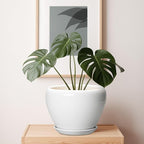 Ceramic Pot for Plants - 10 Inch Planter with Drainage Hole and Saucer, Glaze Modern Round Flower Pot for Indoor Plants, Housewarming Gift, Home Decor, White