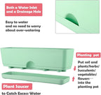 6 Pack Rectangle Planter 16x4.4 Inch Window Boxes Planters Rectangular Large Window Sill Planters Indoor Self Watering Plant Pots with Drainage Holes and Saucers Succulent Herb Flower Pots, Green