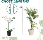 MAFONE 6 Pack 24inch Plant Support Stakes,Plant Stick for Two Sizes(12 or 24Inch) Garden Single Stem Flower Support Stake Plant Cage Support with 20pcs Clips and Plant Ties for Tomato Orchid Lily