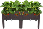 VINGLI Square Raised Garden Bed, Self-Watering Plastic Planter for Indoor Outdoor Vegetables, Fruits, Potato, Flowers, All Weather (2 Pcs)