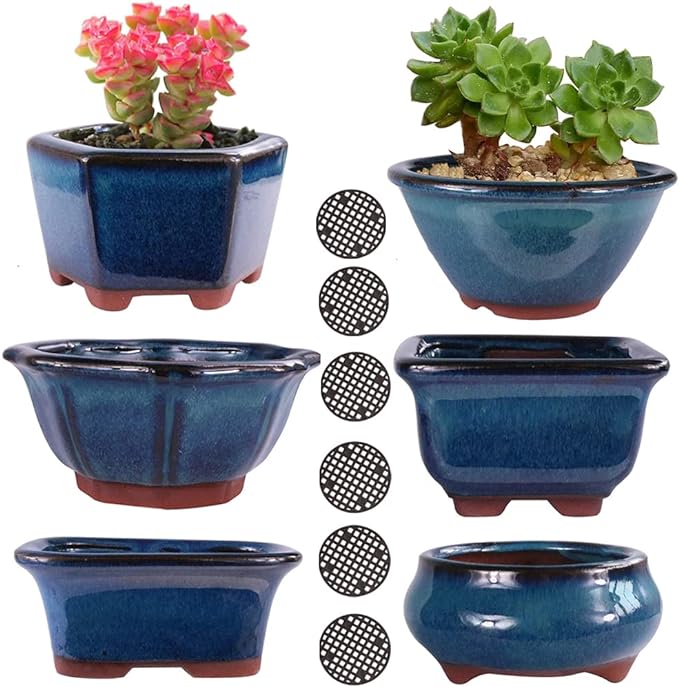 Planters: 6-Pack Blue Glazed Ceramic Mini Bonsai Pots with Drainage Holes