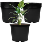 GREANER 5 Gallon Black Planter Pots, 10PCS Plastic Durable Plant Pots for Plants, Seed Starting Container for Flower Herb Vegetable Seedling Tree Fruit