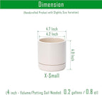 Planters Set of 4 Small Round Ceramic Pots in Oatmeal with Saucers