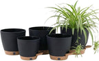 montresor 5-Pack Self-Watering Plastic Plant Pots 5/5.5/6/6.5/7 Inch– Black Indoor Flower Pots with Wick & Water Tray for Herbs, Succulents, Seedlings, Small Plants
