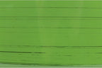 Garden Elements Indoor/Outdoor Glazed Brushed Happy Plastic Planter, Large, Dark Green, 15"