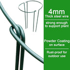 Plant Support Cages 10 Pack Dark Green Iron Half Circle Stakes