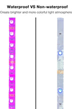 DAYBETTER Waterproof Led Lights for Bedroom, 32.8ft (2 Rolls of 16.4ft) Led Strip Lights, 300 LEDs Color Changing RGB 44 Keys Remote Controller, 12v for Outdoor Room Home Party Christmas Decoration
