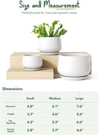 LE TAUCI Ceramic Plant Pots, 4.1+5.1+6.5 inch, Set of 3, Planters with Drainage Hole and Saucer, Indoor Flower Pot with Hole Mesh Pad, Gifts for Mom, White