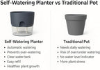 Self Watering Planter Pot with Upgraded Wick System – Modern Indoor Plant Pot with Visible Water Reservoir