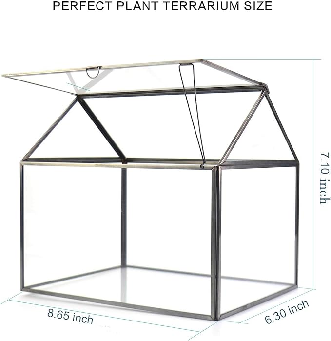 Terrarium Black House-Shaped Glass Planter with Swing Lid, Large