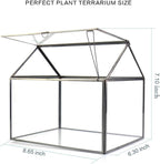 Terrarium Black House-Shaped Glass Planter with Swing Lid, Large