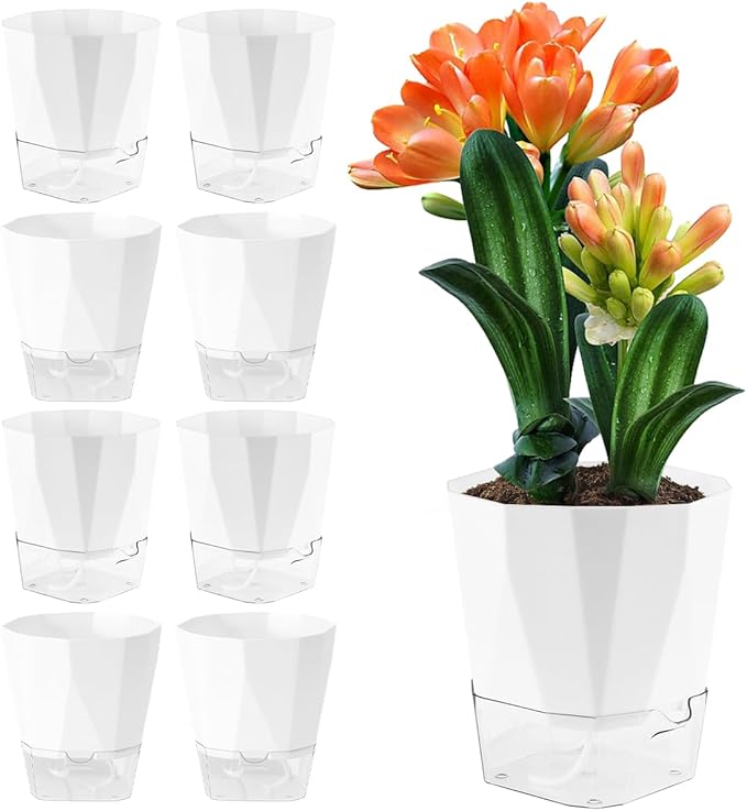 6 Pack Self Watering Pots for Indoor Plants, 8.4 Inches Self Watering Planters Large African Violet Self Watering Clear Pots for Plants Large Herb Orchid Flower Houseplant Pots, White