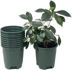 5.5 Inch Gardening Flower Pots 10-Pack Green Pot Liners 0.5 Gallon Nursery Pot Plastic Planters for Outdoor Indoor Plants with Drainage Holes