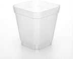 120 Packs Square Clear Nursery Pots with Drainage, 2.7 Inch Plastic Seedling Pots for Indoor Plants, Thickened Small Transplant Pot for Seed Starting Succulents Vegetables Lettuce Flowers