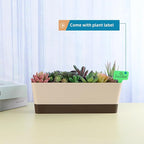 Window Box Planter with Tray, 12" Rectangle Plant Pot, Pack of 3 (Beige)