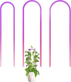 3 Pack Colorful Acrylic Plant Trellis for Indoor Plants, U-Shaped Small Plant Trellis for Potted Plants, Waterproof Climbing Support for Vine Ivy, Hoya, Pothos, Home Garden Decor
