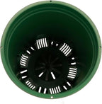 5 Gallon 20-Pack Green Nursery Pot Black Plastic Planters in Bulk with Drainage for Outdoor Indoor Large Plants Trees